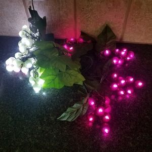 Grape Cluster String Lights Indoor/Outdoor